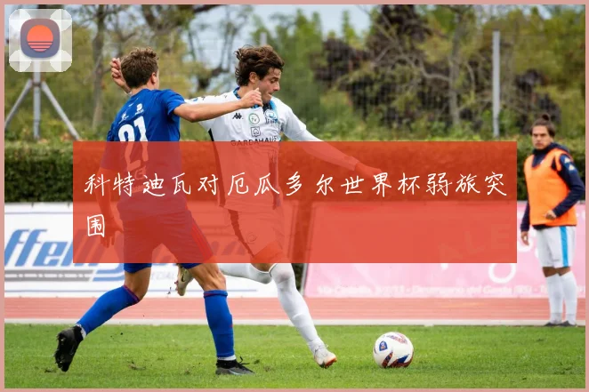 科特迪瓦对厄瓜多尔世界杯弱旅突围
