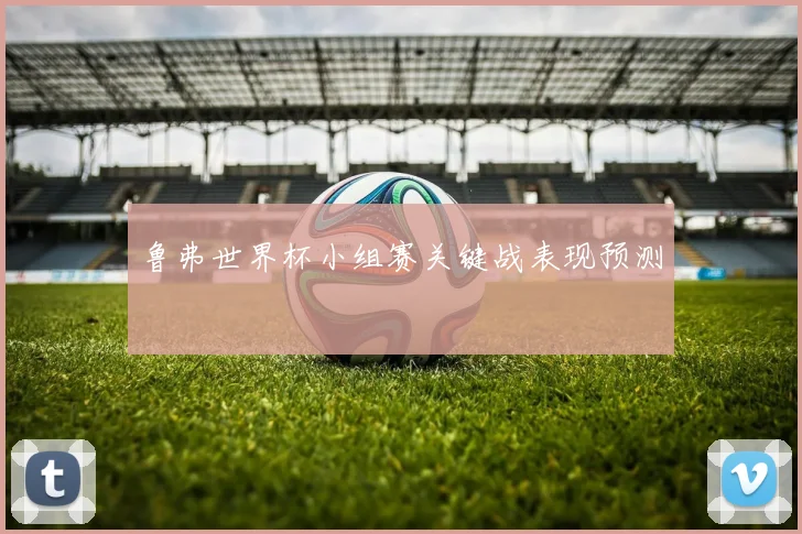鲁弗世界杯小组赛关键战表现预测
