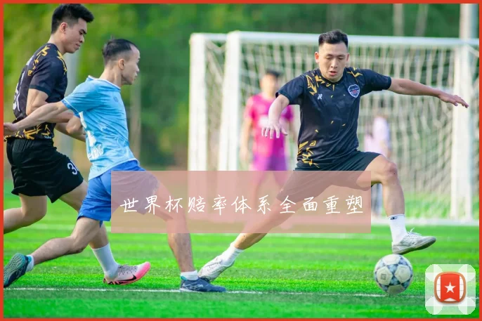 世界杯赔率体系全面重塑