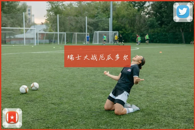 瑞士大战厄瓜多尔