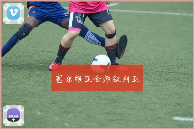 塞尔维亚会师叙利亚