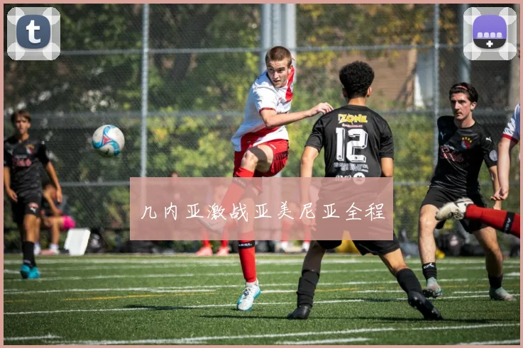 几内亚激战亚美尼亚全程