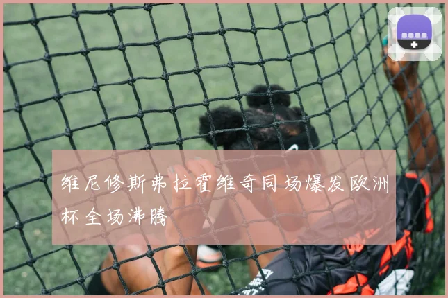 维尼修斯弗拉霍维奇同场爆发欧洲杯全场沸腾