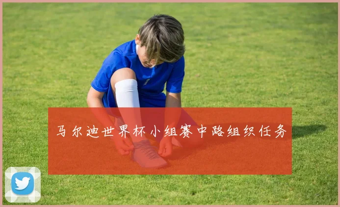 马尔迪世界杯小组赛中路组织任务