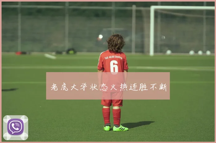 老虎大学状态火热连胜不断