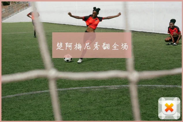 楚阿梅尼秀翻全场