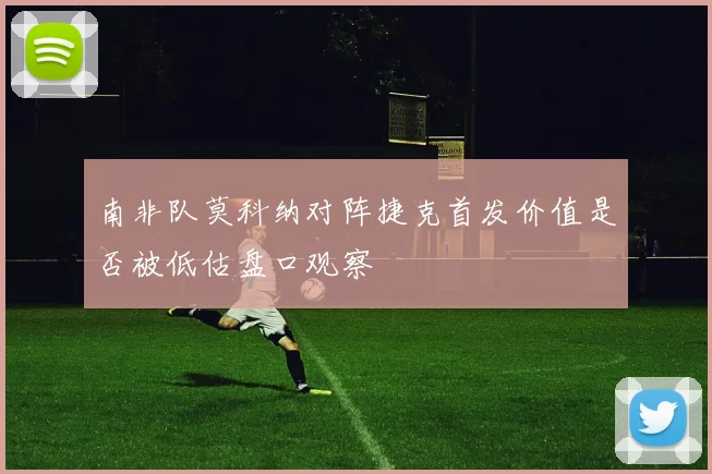 南非队莫科纳对阵捷克首发价值是否被低估盘口观察