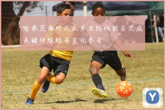 哈弗茨面对厄瓜多尔防线能否完成关键传球赔率变化参考