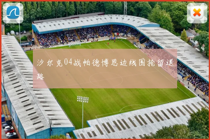 沙尔克04战帕德博恩边线围抢留退路